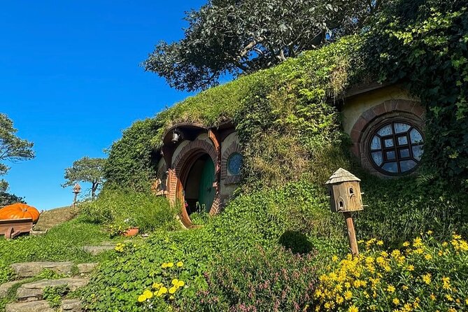 Private Hobbiton Movie Set and Rotorua Day Trip from Auckland - Te Puia: Māori performance and kiwi sanctuary adds meaning
