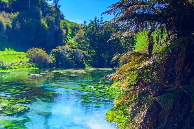 Private Hobbiton, Waitomo Caves, Blue Spring & Hamilton Transfer - Who this tour suits best (and who should be cautious)