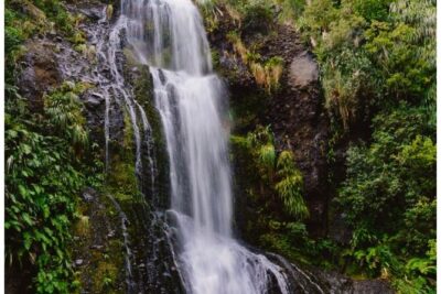 Private Piha Beach, Rainforest Adventure & Mt. Eden with Guide - From Arataki Visitor Centre: harbor views first, then Māori heritage