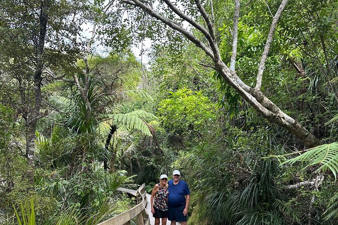 Private Piha Beach, Rainforest Adventure & Mt. Eden with Guide - Mount Eden (Maungawhau): the 360-degree finale Auckland deserves