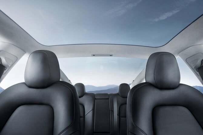 Private Tesla Transfer: Auckland, Tauranga, Rotorua, Taupo - Why a private Tesla transfer is worth the money in North Island planning