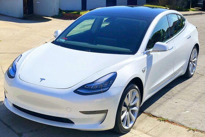 Private Tesla Transfer: Auckland, Tauranga, Rotorua, Taupo - Routes you can book: Auckland to Hamilton, Tauranga, Rotorua, Taupo (and back)