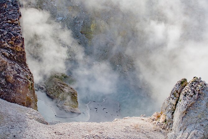 Private Tour [2 Days]: Auckland to Waitomo Caves, Rotorua, Te Puia & Wai-O-Tapu - Te Puia and the Whakarewarewa valley: Māori culture plus Pohutu geyser power