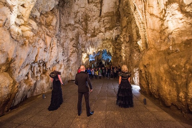 Private Tour [2 Days]: Auckland to Waitomo Caves, Rotorua, Te Puia & Wai-O-Tapu - Logistics that can trip you up: cameras, stairs, shoes, and keeping dry