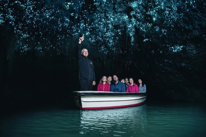 Private Tour [2 Days]: Auckland to Waitomo Caves, Rotorua, Te Puia & Wai-O-Tapu - Is this tour worth it for you? (Who it suits best)