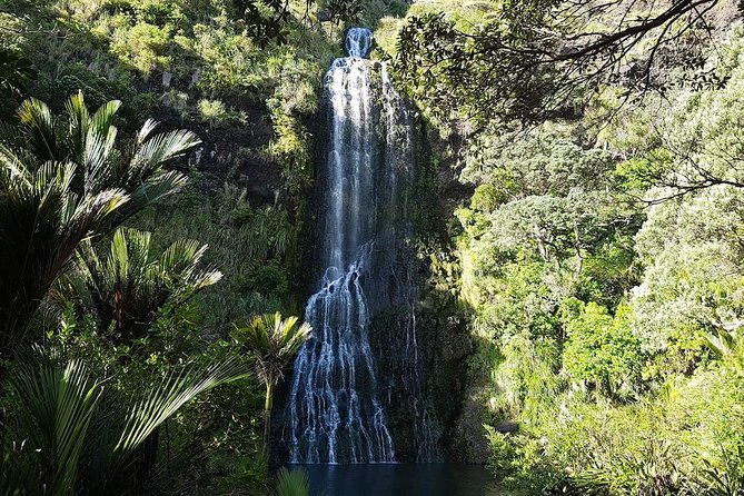 Private Tour: Auckland City and Countryside Tour - MJ Savage Memorial Park and the harbour view moment