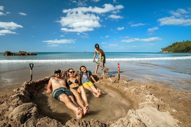 Private Tour - Coromandel Beach, Caves & Forest - Key highlights worth planning for