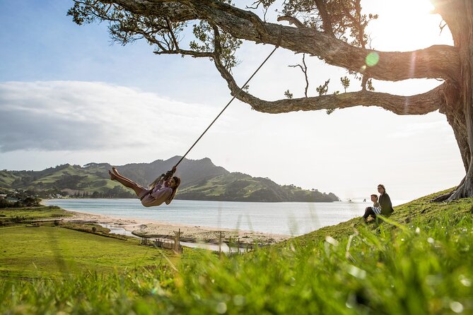 Private Tour - Coromandel Beach, Caves & Forest - Coromandel Coast from Auckland: a 6am start that pays off