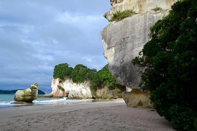 Private Tour - Coromandel Beach, Caves & Forest - Lunch, comfort, and WiFi: the private Mercedes difference