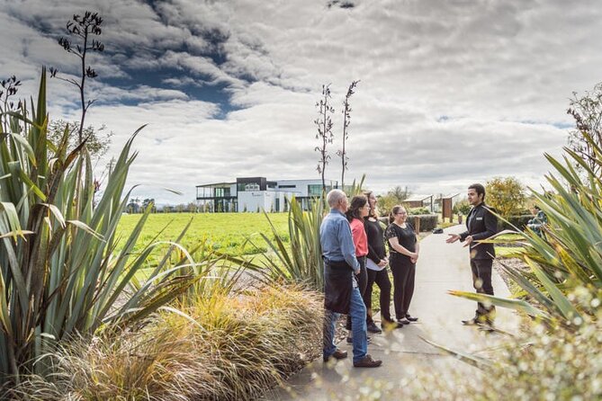 Private tour from Auckland - Waitomo Glowworm Caves, Zealong Tea & Kiwi Bird - Key things I’d plan around