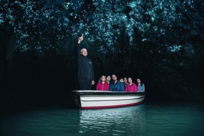 Private tour from Auckland - Waitomo Glowworm Caves, Zealong Tea & Kiwi Bird - Price and value at $619.95 per person
