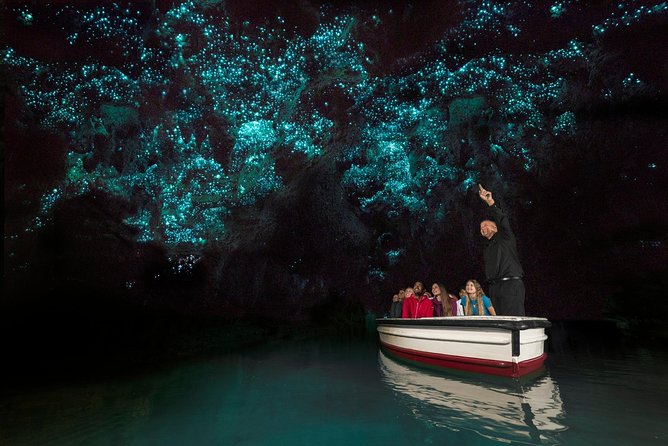 Private tour from Auckland - Waitomo Glowworm Caves, Zealong Tea & Kiwi Bird - Zealong Tea Estate: 100% organic tea tasting with a real producer
