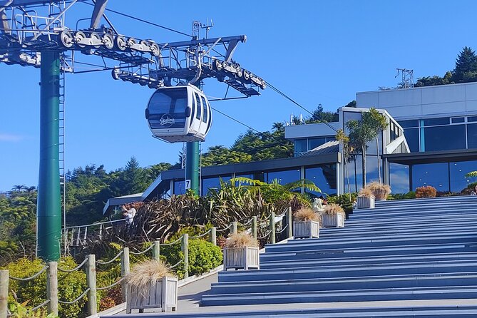 Private Tour: Hobbiton Movie Set, Rotorua Mud Pool & Treewalk - Who this tour suits best (and who should rethink it)