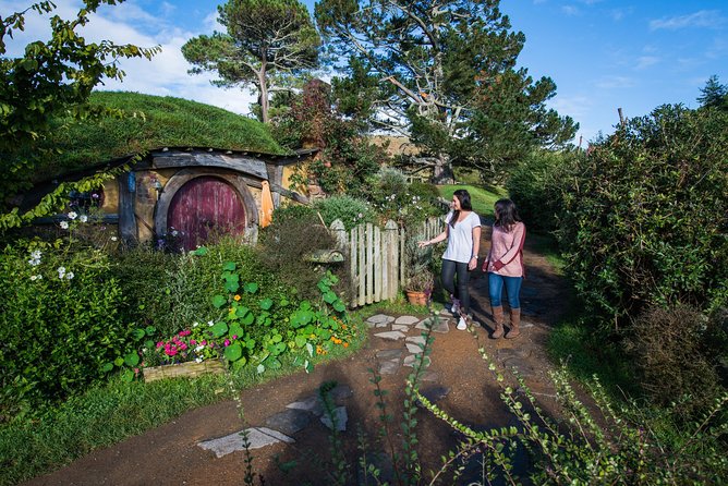 Private Tour - Hobbiton Movie Set & Te Puia (Rotorua) - The 6:00am Start and the Reality of a 12-hour Day