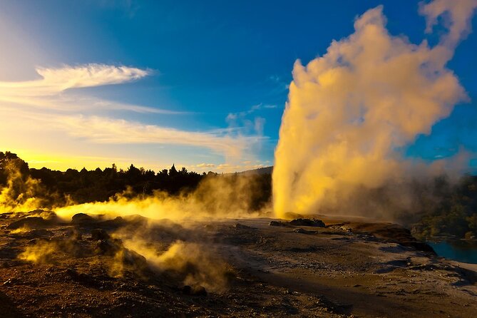 Private Tour - Rotorua Adventures Day Trip From Auckland - Rotorua’s Natural Phenomena and Culture: How the Custom Plan Fits Your Interests