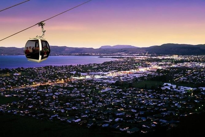 Private Tour - Rotorua Adventures Day Trip From Auckland - Agrodome Kiwi Farm: Baby Animal Time With Real Photo Payoff