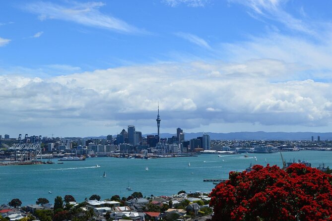 Private Transfer From Auckland City To Auckland Airport - What’s included (and what isn’t) so there are no surprises
