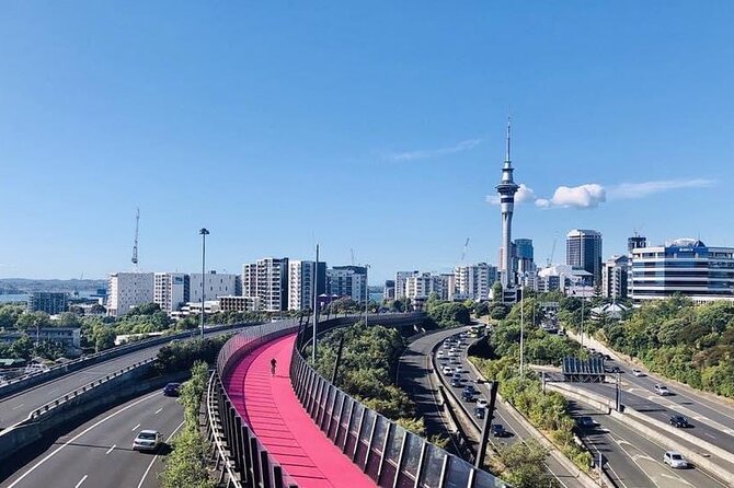 Private Transfer From Cruise Ship To Auckland Airport - Should you book Shine Shuttle for your Auckland cruise transfer?