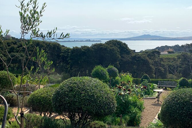 Private Vineyard Bush Walk Tour in Waiheke Island - Past the bush: rolling hills, valleys, and sea views