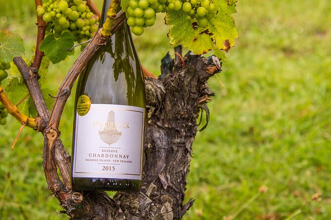 Private Vineyard Bush Walk Tour in Waiheke Island - Price and value: what $434.40 covers (and what it doesn’t)