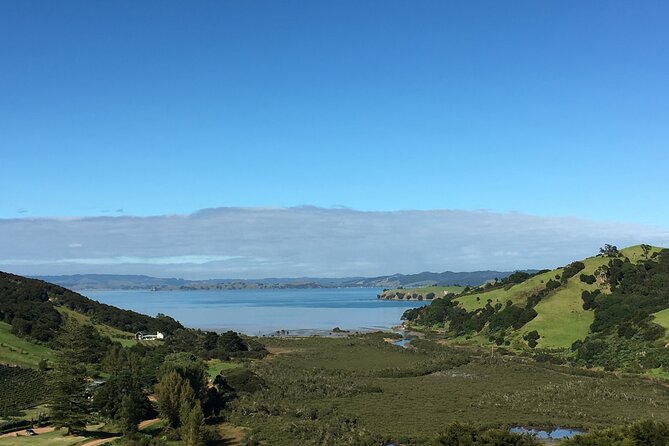 Private Vineyard Bush Walk Tour in Waiheke Island - Weather-proofing: the tour runs outside, so you should too