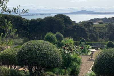 Private Waiheke Food & Wine Tour - The practical comfort: Mercedes e-van, pickup, and a private pace