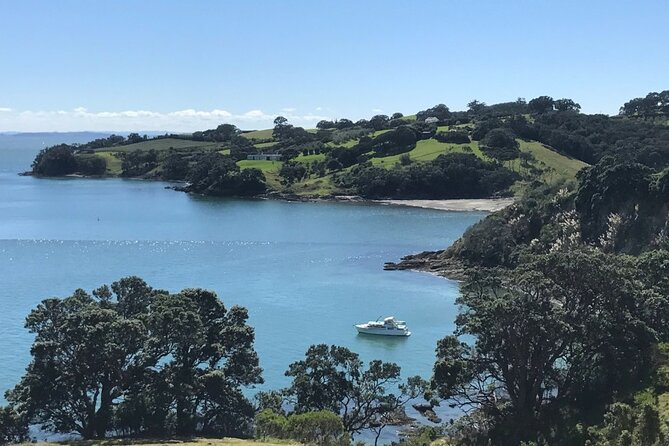 Private Waiheke Food & Wine Tour - Price and value: what $556.45 actually buys you