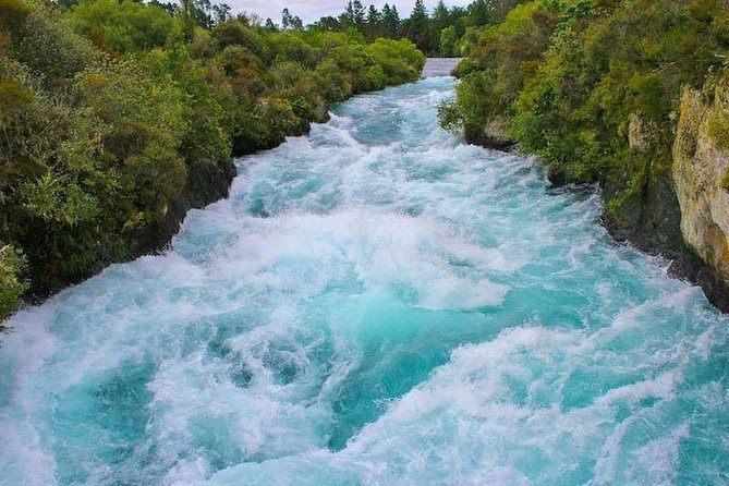 Redwood Forest , Blue Springs & Huka Falls Day Tour from Auckland - The Drive From Auckland: Hotel Pickup and the Real Time Budget