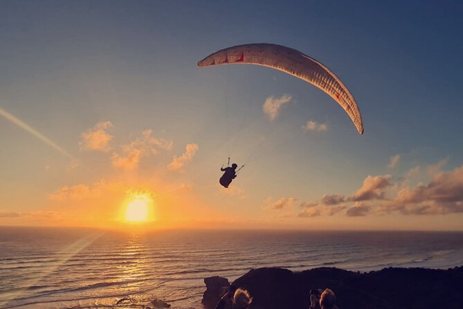 Romantic Auckland Sunset tour with Winery & Thermal pool - Palm Springs Hot Pool: Warm Water to Reset Your Day