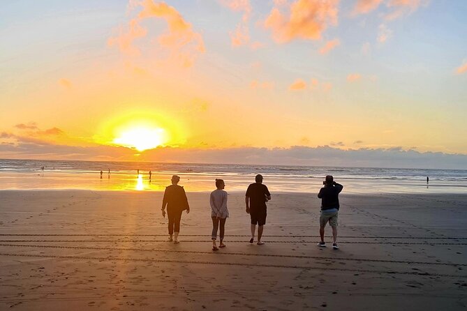 Romantic Auckland Sunset tour with Winery & Thermal pool - Muriwai Beach at Sunset: Black Sand Views and a Weather Reality Check