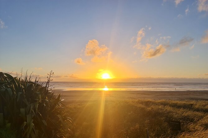 Romantic Auckland Sunset tour with Winery & Thermal pool - Price and Value: What $279.26 Buys You Here