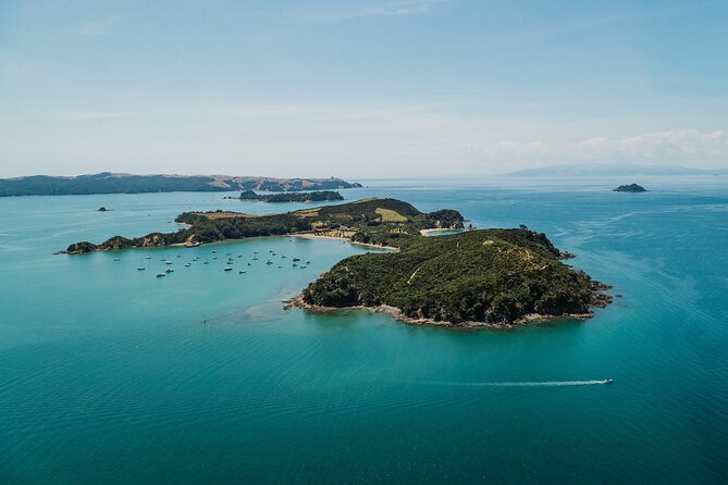 Rotoroa Island Ferry - from Auckland - Price and Logistics: Why About $68 Can Make Sense