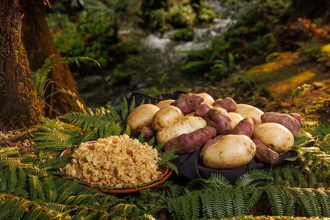 Rotorua Cultural & Geothermal Small Group Tour From Auckland - Comfort and small perks: long days need support