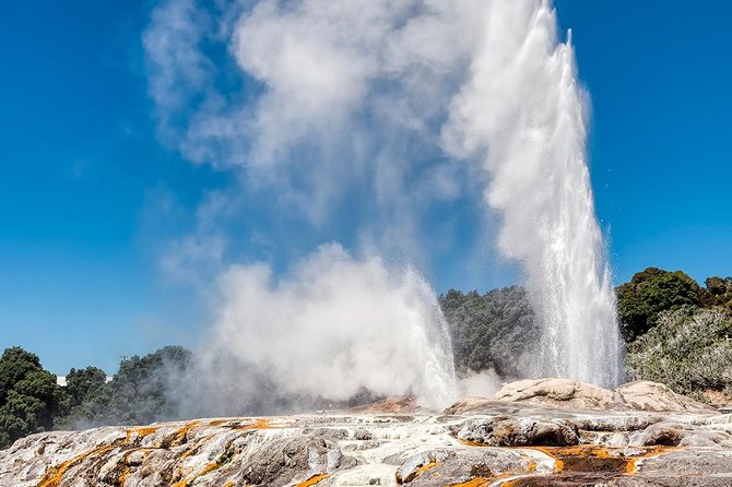 Rotorua Highlights Tour from Auckland with Optional Extras - Key things I’d plan around