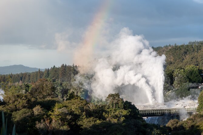Rotorua Highlights Tour inc. Te Puia Tour, Lunch & Cultural Show - Rotorua city highlights from the van: orientation, not a full tour