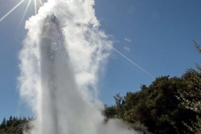Rotorua Māori Village and Activity Combinations from Auckland - Whakarewarewa Village: Māori culture in a living community