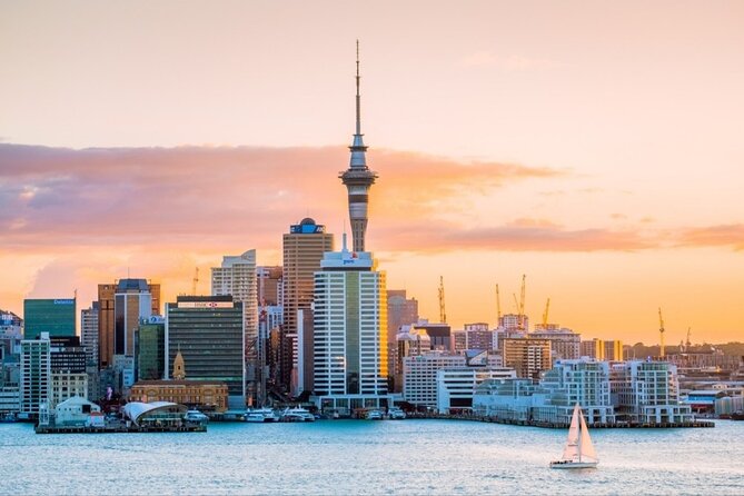 Rotorua Small-Group Day Tour from Auckland - Price and value: what $253.81 buys you (and why it can be worth it)