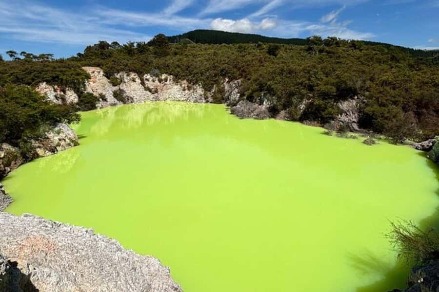 Rotorua & Taupo DayTour Waiotapu & Huka Falls from Auckland - Lady Knox Geyser: the quick stop that keeps the day moving