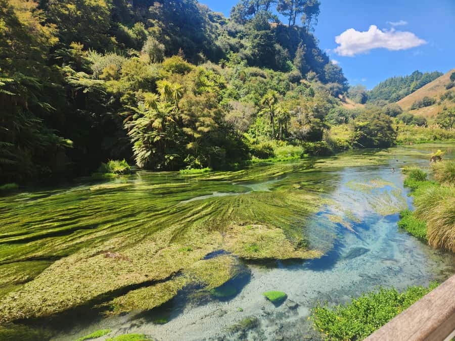 Rotorua & Taupo DayTour Waiotapu & Huka Falls from Auckland - Taupō on deck: lake time with real context (not just photos)