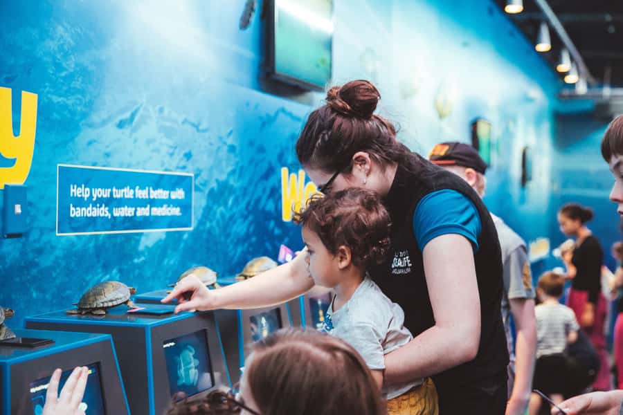Sea Life Kelly Tarlton's Aquarium General Admission - Seahorse Kingdom: spiny sea dragons and rare sightings