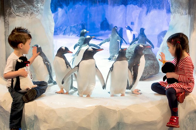 SEA LIFE Kelly Tarlton's General Admission - Key highlights you’ll actually notice