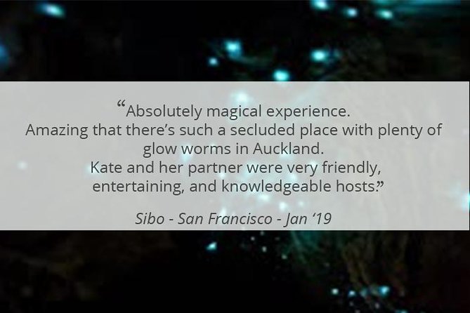See Auckland's Secret Glow Worms - Price and Value: Is $77.57 Worth It