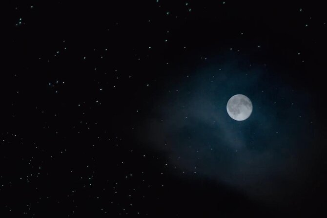 See Auckland's Secret Glow Worms - Who This Tour Is Best For (and Who Should Reconsider)