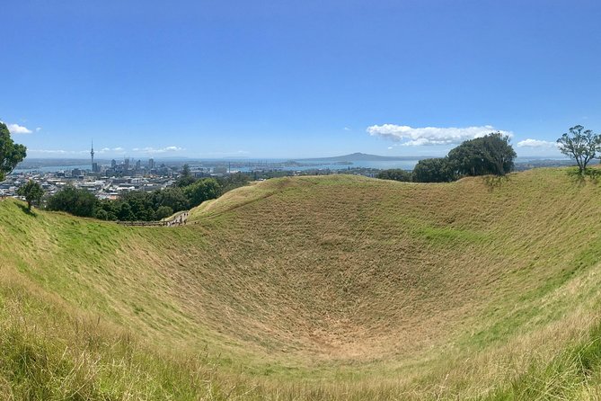 Shore Excursion: Half-Day Auckland Volcanoes Tour - Key points before you go
