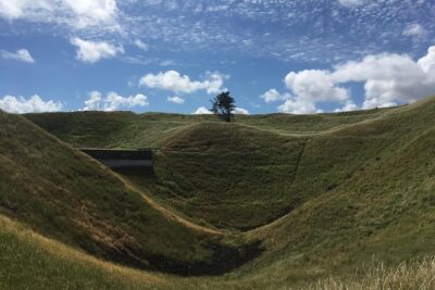 Shore Excursion: Half-Day Auckland Volcanoes Tour - The 8:00am flow: 5 hours, five volcanic moments