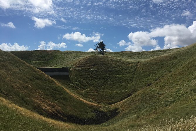 Shore Excursion: Half-Day Auckland Volcanoes Tour - The 8:00am flow: 5 hours, five volcanic moments