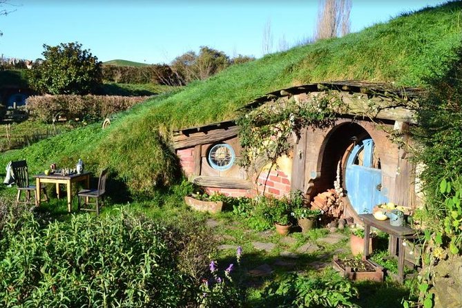 Small-Group Hobbiton and Waitomo Day Tour with Lunch from Auckland - Waitomo Glowworm Caves: the boat ride that turns the ceiling into stars