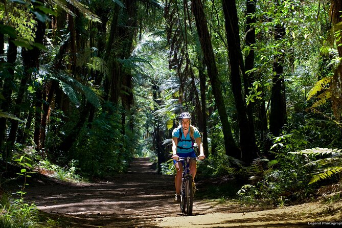 Small Group Northern Voyager 7 Days Tour - Getting started in Auckland: the 9:00am handoff