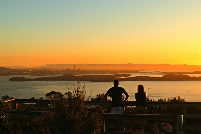 Sunset kayak tour to Rangitoto Island - Key Highlights I’d Prioritize