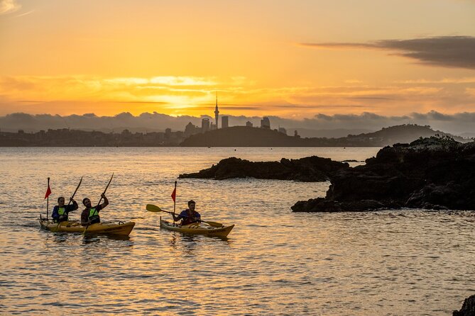 Sunset kayak tour to Rangitoto Island - Crossing Waitematā Harbour: What the Sea Kayak Part Feels Like